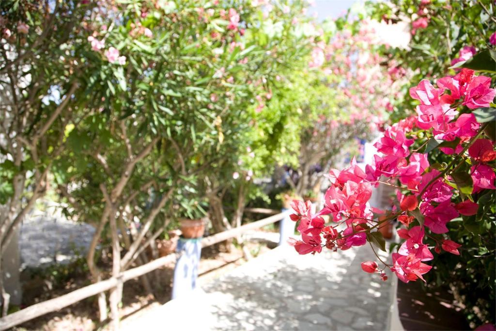 L'Oasi Villaggio Albergo Favignana Dış mekan fotoğraf